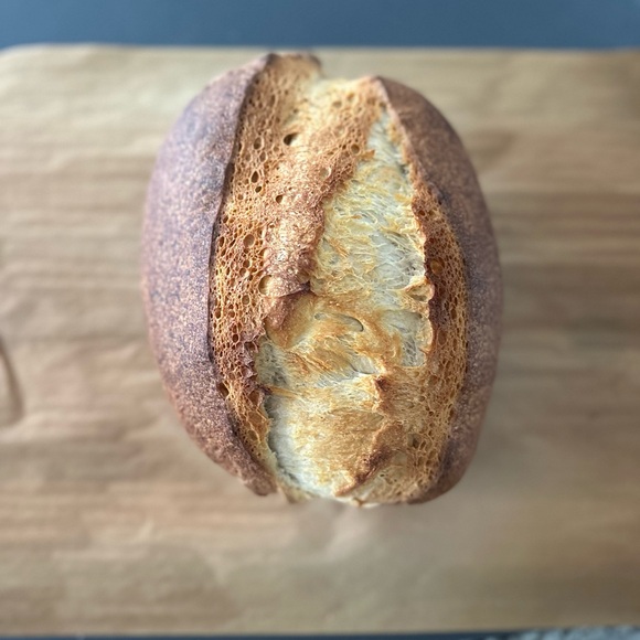 225+ yo starter from Paris, France - Picture 5 of 9